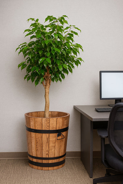 XXL PFLANZKÜBEL AUS EICHENHOLZ FÜR PALME